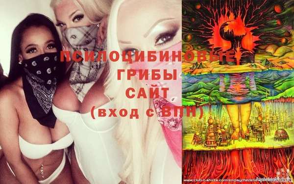 винт Белокуриха