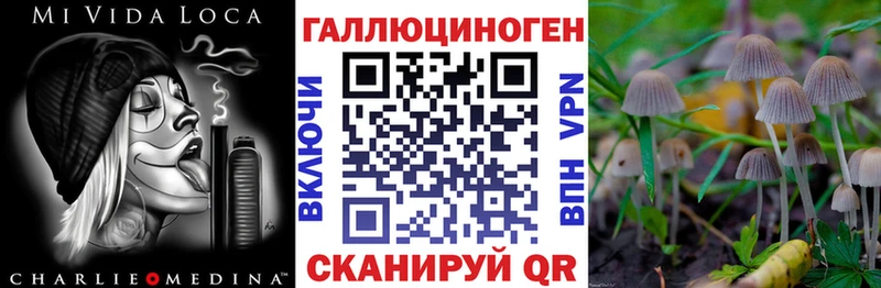 Галлюциногенные грибы GOLDEN TEACHER  закладки  Михайловка 